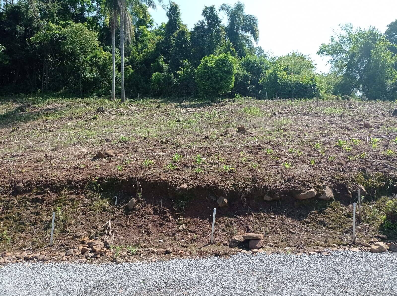 #1231 - Terreno para Venda em Vale Real - RS